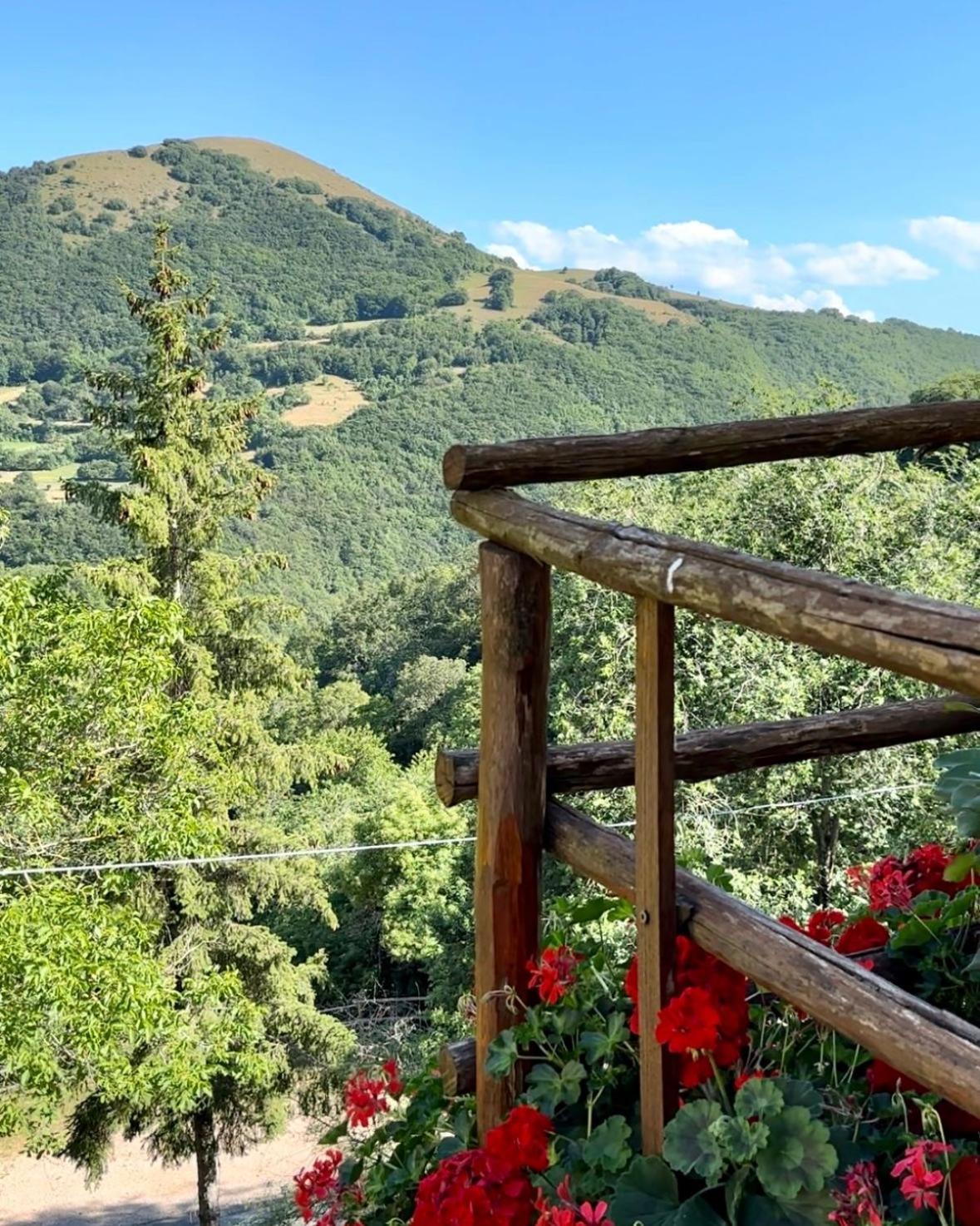 Agriturismo Pettino Campello sul Clitunno Zewnętrze zdjęcie