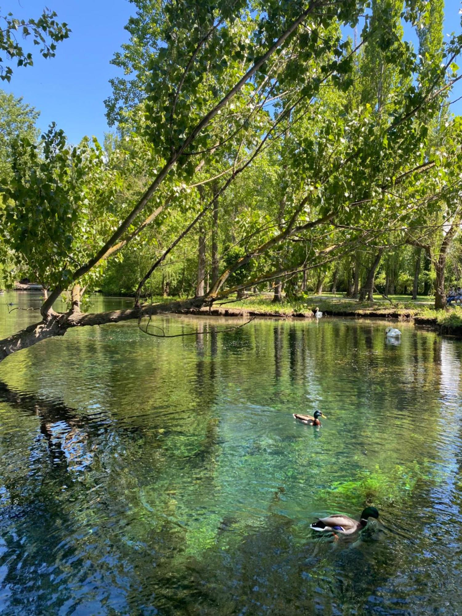 Agriturismo Pettino Campello sul Clitunno Zewnętrze zdjęcie